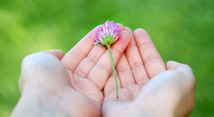 Essere umili non ci rende necessariamente più "piccoli" degli altri, ma spesso migliori