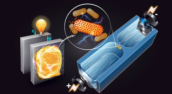 Gli scienziati arrivano ad una svolta nella ricerca dei batteri produttori di energia