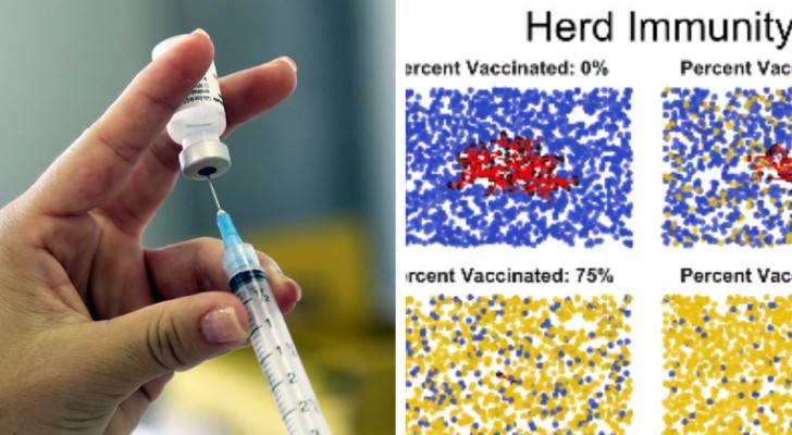 Vaccini: in soli 6 secondi questa immagine mostra chiaramente come funziona l'immunità di gregge