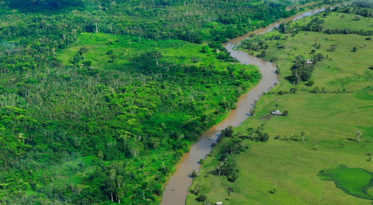 Brasile: in arrivo tre progetti infrastrutturali che minacciano drammaticamente la foresta amazzonica