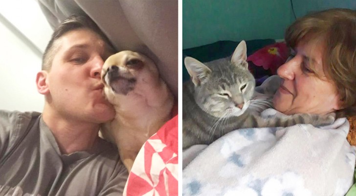 18 people who were absolutely against letting an animal into their house