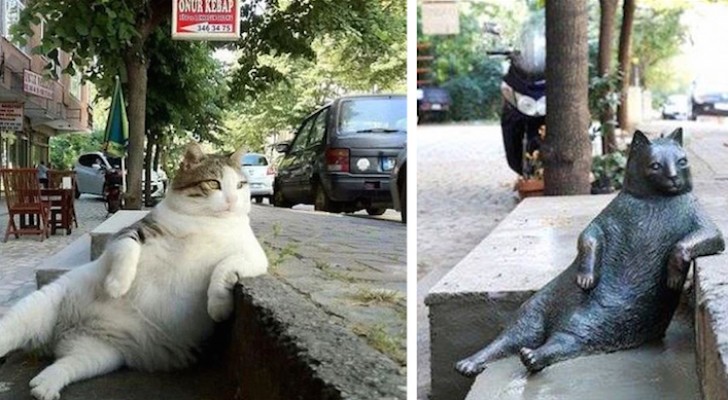 Il gatto più amato della città viene a mancare, così gli fanno una statua nel suo posto preferito