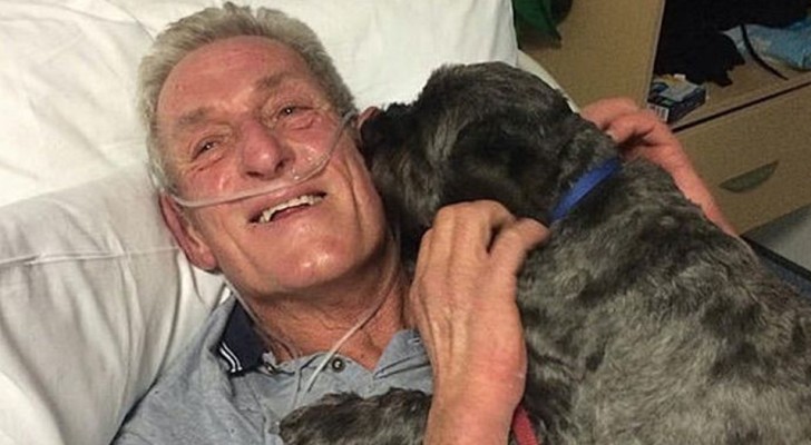 Estaba en estado de coma, pero el ladrido de su perro lo hace despertar: hoy es su "ángel custodio"