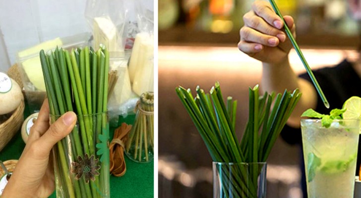 Un'azienda vietnamita produce cannucce con i fili d'erba anziché con la plastica: ecco tutti i sorprendenti vantaggi