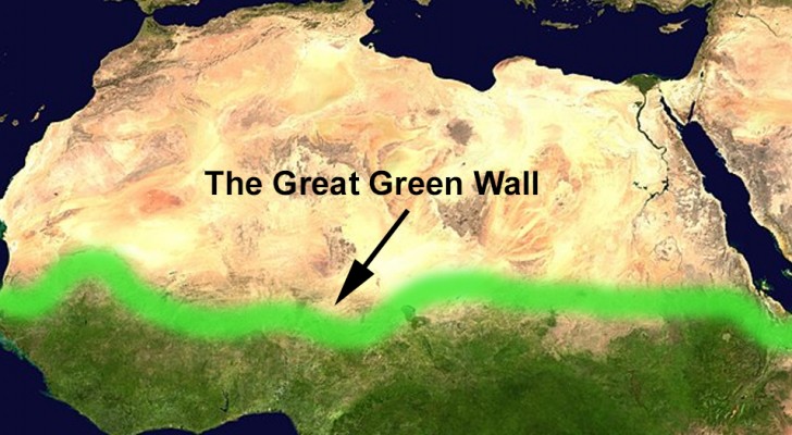 Die große grüne Mauer von Afrika: 8 tausend Kilometer Bäume als Staudamm gegen die Wüste