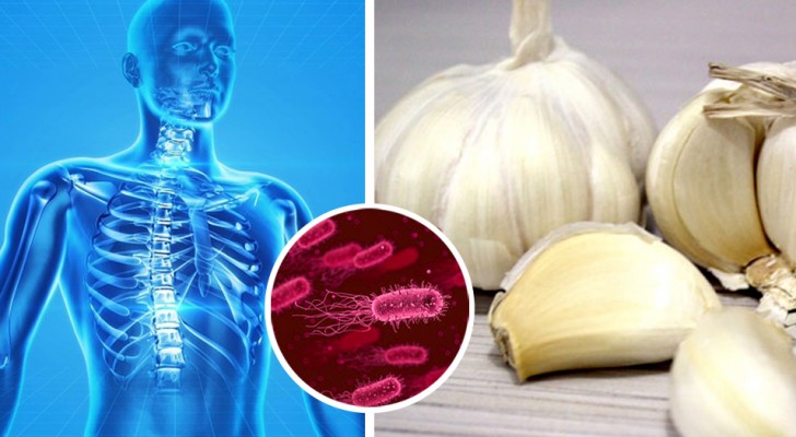 11 "natural antibiotics" that can help cleanse the body without using any drugs