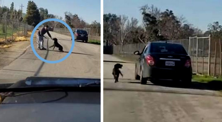 This dog desperately chases his owner's car after being abandoned