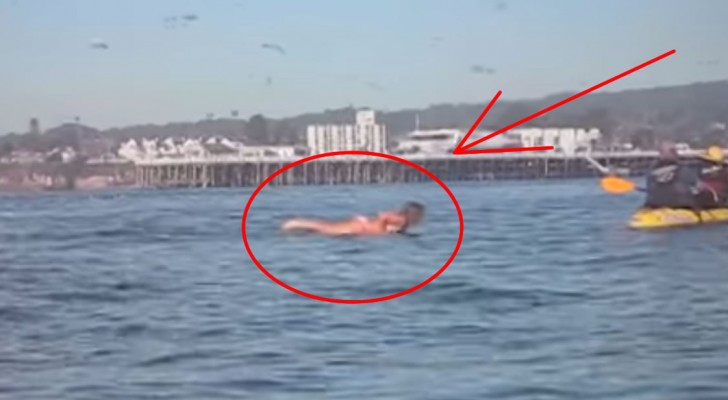 Una ballena sorprende a una surfista