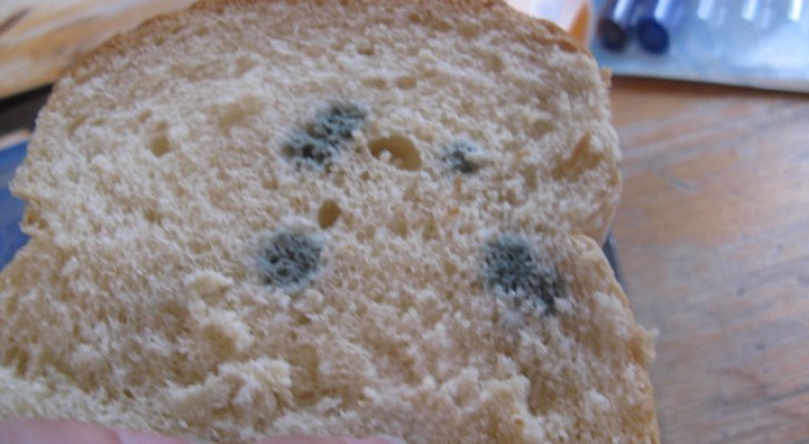 Eating the "good" part of moldy bread is not a healthy habit, according to experts