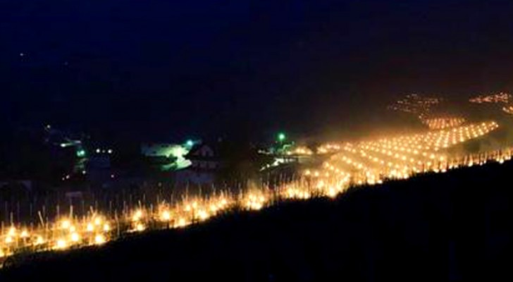 Migliaia di candele per riscaldare i vigneti dell'Alto Adige durante il freddo record: la panoramica è mozzafiato