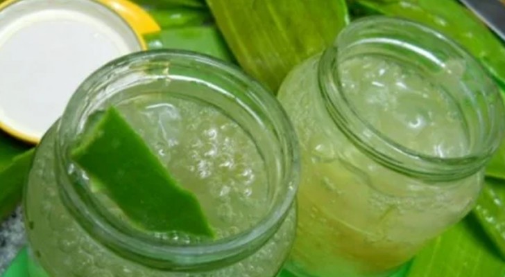 Gel de aloe vera: aquí todos los beneficios y los simples pasos para prepararlo en casa