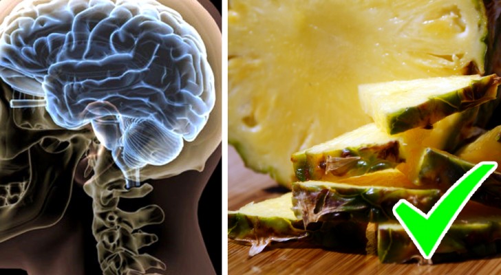 The 6 foods that increase serotonin which is your brain's favorite food!