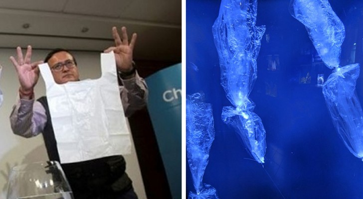Voici le "Solubag", le sac plastique révolutionnaire qui se dissout dans l'eau en 5 minutes