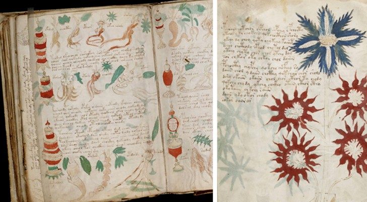 I ricercatori ritengono di aver "craccato" il manoscritto più misterioso del mondo: ecco cosa contiene