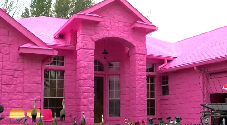 Ein Mann streicht sein Haus komplett in leuchtendem Rosa, aber seine Nachbarn fanden das nicht so toll