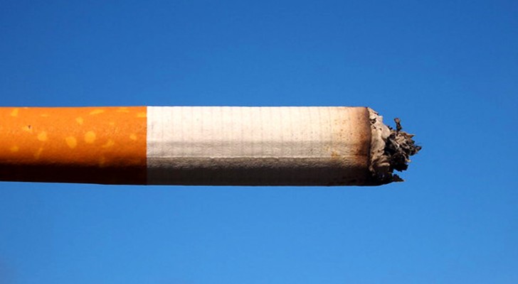 Here's what we introduce into our body every time we smoke a cigarette!