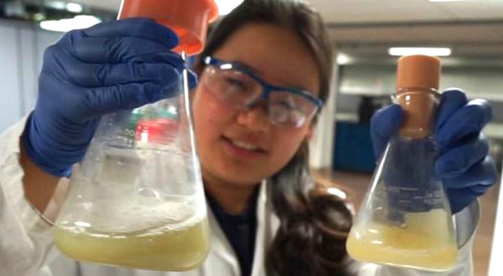 Een 23-jarige studente beweert het proces te hebben ontdekt om plastic in biologisch afbreekbaar materiaal te veranderen