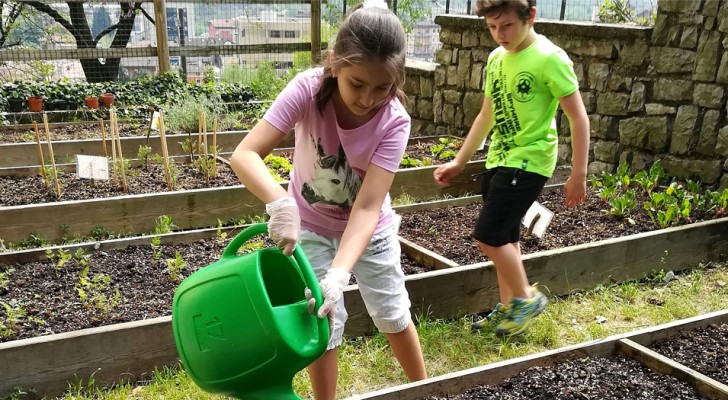 Un orto didattico per insegnare ai bambini a rispettare il cibo e la Natura: l'iniziativa di una scuola di Brescia