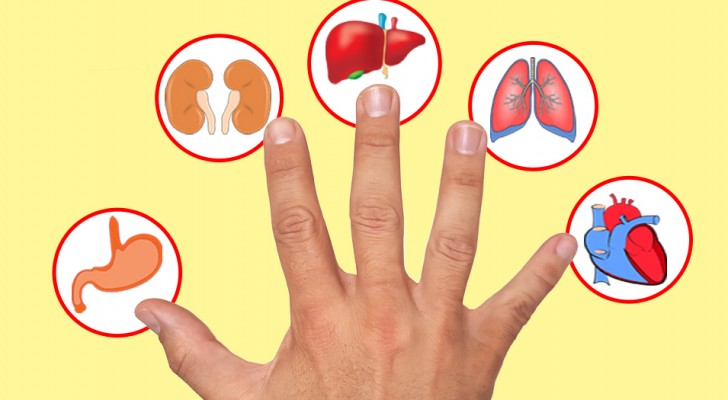 According to a Japanese tradition, each finger corresponds to an organ and this is what happens when you massage your fingers!