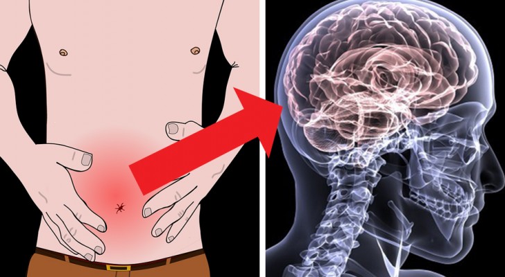 Les douleurs physiques pourraient être liées à votre état émotionnel, voici pourquoi