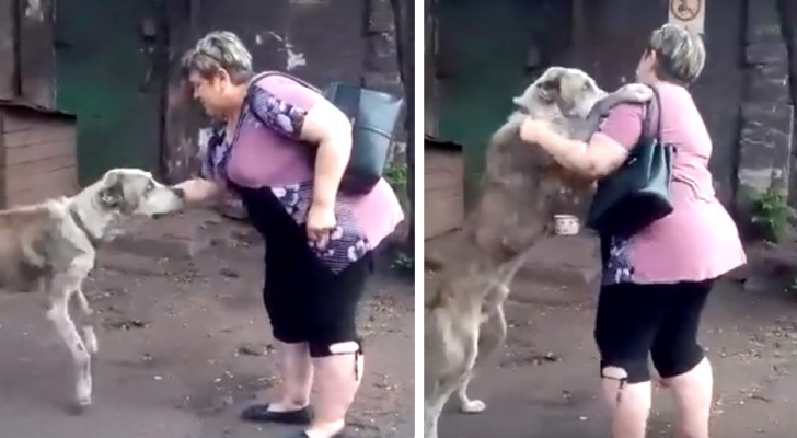 Eine Frau findet in einem Tierheim ihren geliebten Hund, nach dem sie zwei Jahre lang verzweifelt nach ihm gesucht hatte