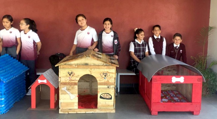 Diese Kinder stellen Hundehütten aus recycelten Materialien her: Die Initiative ist sofort ein Erfolg
