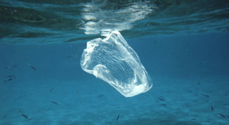 Entro il 2021 saranno vietati i prodotti in plastica monouso in tutti i Paesi dell'UE: ecco tutto quello che c'è da sapere