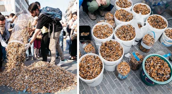Questi giovani volontari hanno raccolto mozziconi di sigaretta per 3 ore di fila: il risultato è spaventoso