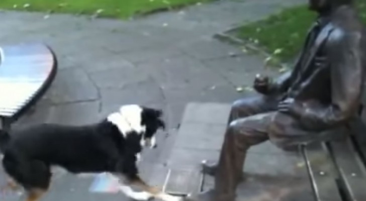 Le pauvre chien ne comprend pas que cette statue ne pourra pas jouer avec lui!