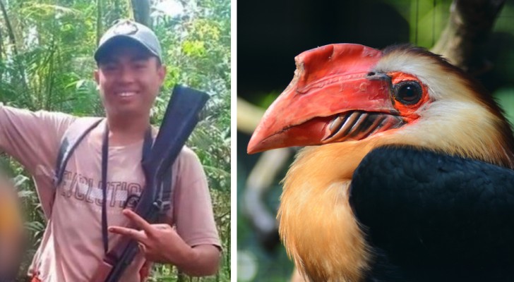 He kills a beautiful bird in danger of extinction and exhibits it on social media like a trophy --- the reaction is not long in coming!