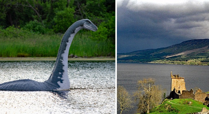 Das "echte" Loch Ness Monster in der Antarktis: ein 70 Millionen Jahre altes Fossil von übertriebenen Dimensionen
