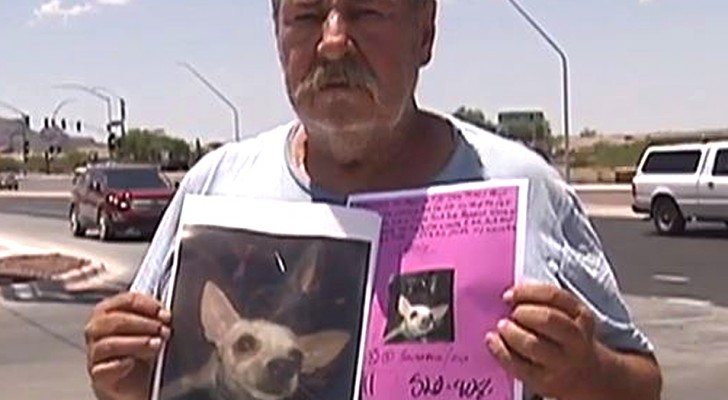 This desperate man offers his house as a reward to anyone who can find his dog!