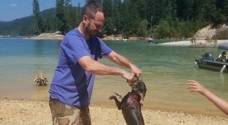 Después de un paseo por el lago un perro ha perdido la vida por intoxicación del agua: estos son los síntomas y las causas