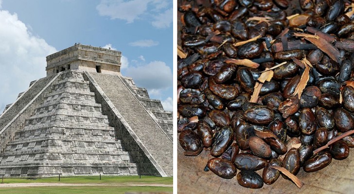 Questa antica civiltà del Sud America utilizzava la cioccolata come moneta di scambio commerciale