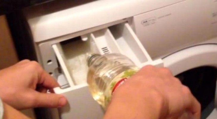 8 modi di utilizzare l'aceto nel lavaggio dei vestiti: per risparmiare soldi e salvare l'ambiente