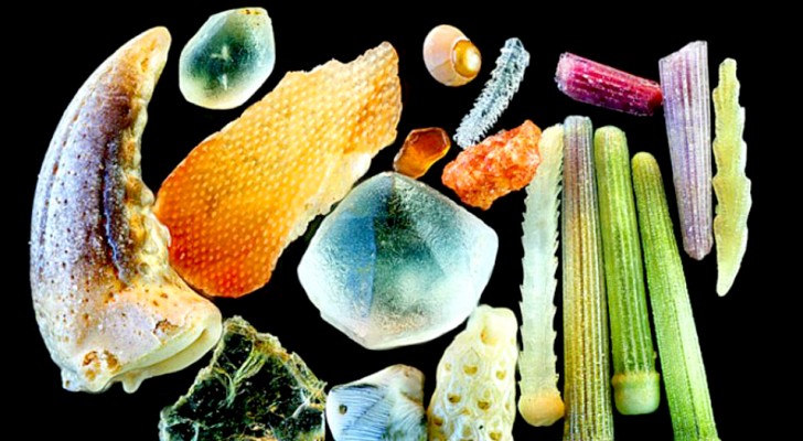 Die faszinierenden Bilder von Sandkörnern unter 300-facher Vergrößerung