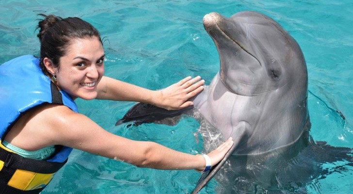 Questa associazione cerca volontari per viaggiare in Croazia e aiutare a salvare i delfini