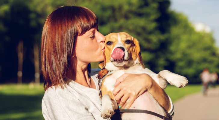 Some people love their dogs more than other human beings and a social research study explains why!