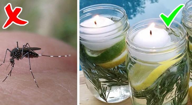 Hoe maak je het zelf een natuurlijk afweermiddel tegen vliegen en muggen, voor een zomer zonder te worden gestoken