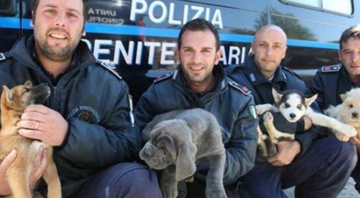 Asti: la scuola per cani poliziotto sceglie di arruolare solo gli animali dei canili
