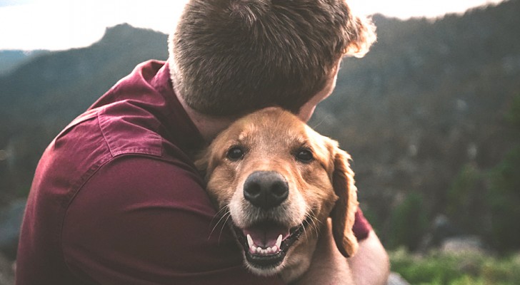 O donos de cães tendem a ser mais felizes que os donos de gatos, é o que sugere uma pesquisa