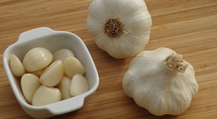 Von Ohrinfektionen bis hin zu Halsschmerzen: alle antibakteriellen Anwendungen von Knoblauch, einem starken natürlichen antiviralen Mittel