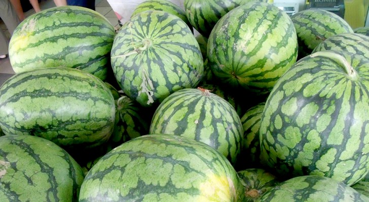 Es gibt keinen Sommer ohne Wassermelone: Hier sind einige Tipps zur Wahl der perfekten Melone!