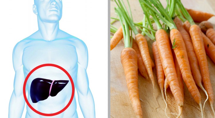 If you want to purify your liver, make sure to put these foods on the table!