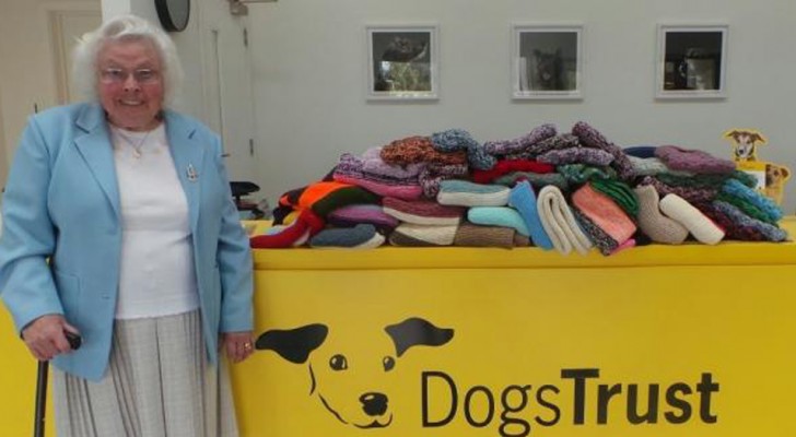 Esta mujer ha realizado a mano 450 mantas para donar a los perritos de un refugio