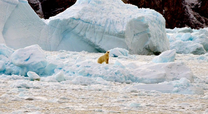 Das grönländische Eis schmilzt 50 Jahre früher als erwartet