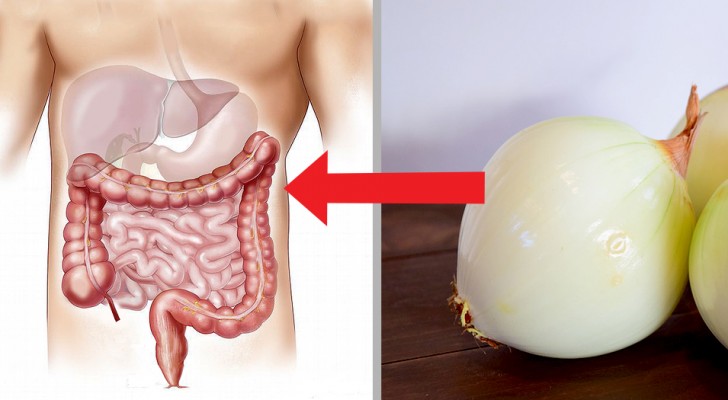 Here are ten natural benefits of onions that help to keep our body healthy!