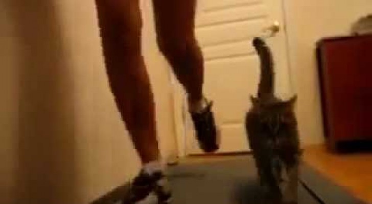 Ragazza con il suo gatto sul tapis roulant