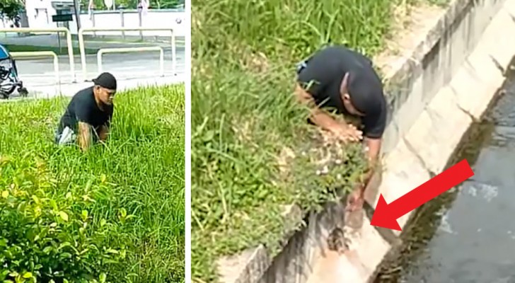 A Paralympic athlete gets out of his wheelchair and saves a kitten in danger and the video goes viral
