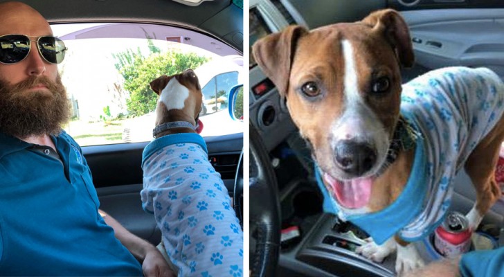 Un uomo trova un cane smarrito con indosso un pigiamino: tra i due nasce subito un rapporto speciale